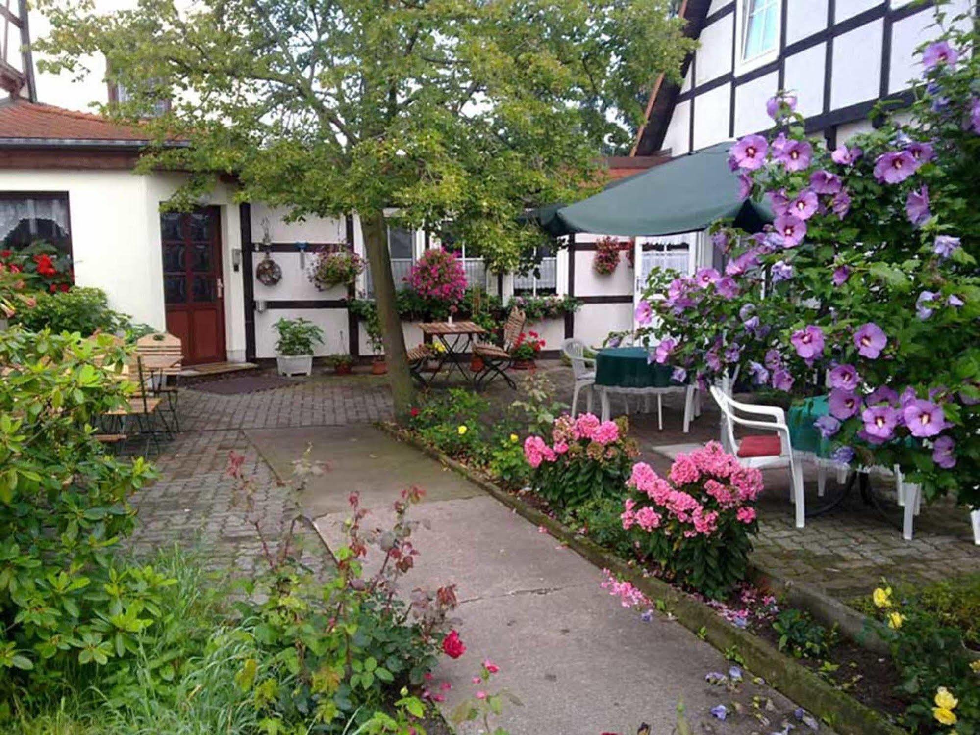 Pension Am Stadtrand Zerbst Exteriör bild